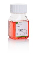 Cell Culture Reagents Thermo Fisher Scientific Cn