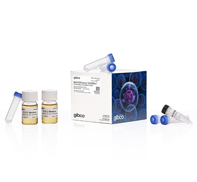 MAX Efficiency&trade; DH10Bac Competent Cells