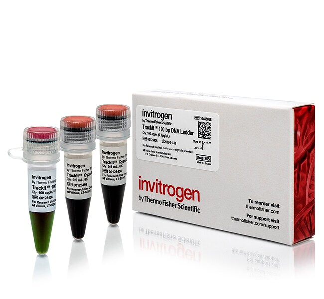 TrackIt™ 100 bp DNA Ladder