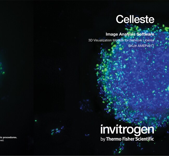 Celleste&trade; 3D 可视化模块，网络许可证（包含1个席位）