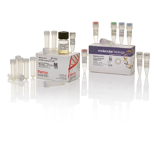Phusion&trade; Site-Directed Mutagenesis Kit with DH10B Competent Cells