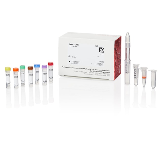 SiteClick&trade; Antibody Labeling Kits