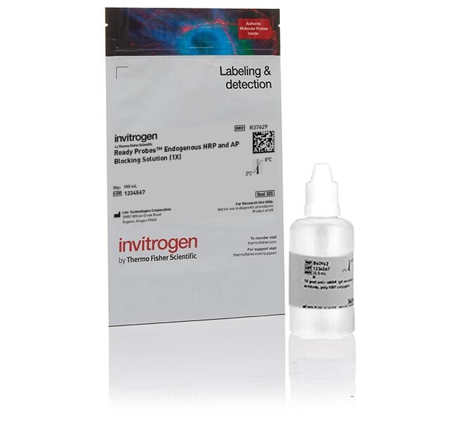 ReadyProbes&trade; Endogenous HRP and AP Blocking Solution (1X)