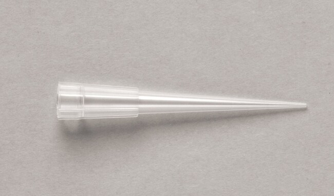 QSP Filter and Non-Filtered Pipette Tips