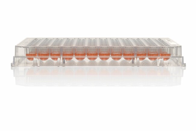 Nunclon&trade; Sphera&trade; 96-Well, Nunclon Sphera-Treated, U-Shaped-Bottom Microplate