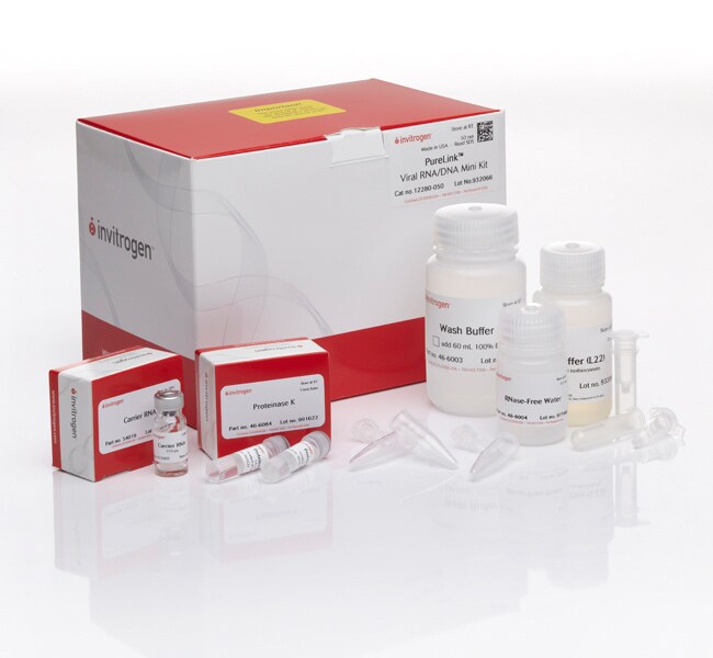 PureLink&trade; Viral RNA/DNA Mini Kit