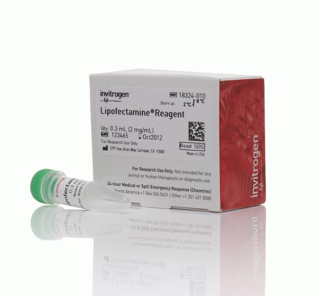 Lipofectamine&trade; 转染试剂