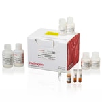 ChargeSwitch&trade; NoSpin Plasmid Micro Kit