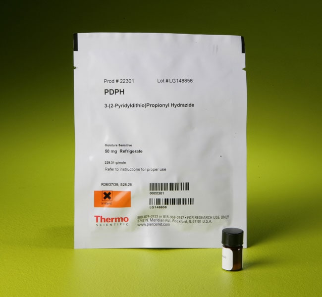 PDPH（3-(2-吡啶基二硫基)丙酰肼）