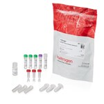 pHrodo&trade; Antibody Labeling Kits