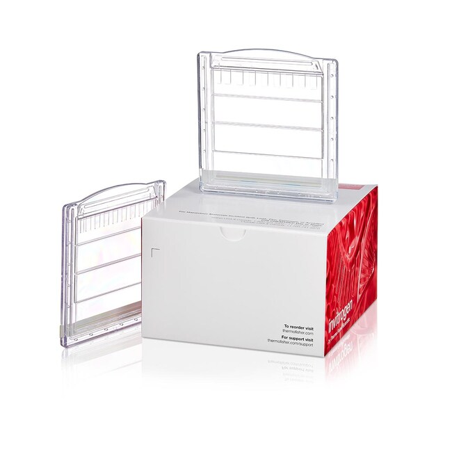 NuPAGE™ 4-12%,Bis-Tris,1.0–1.5 mm,小型蛋白凝胶