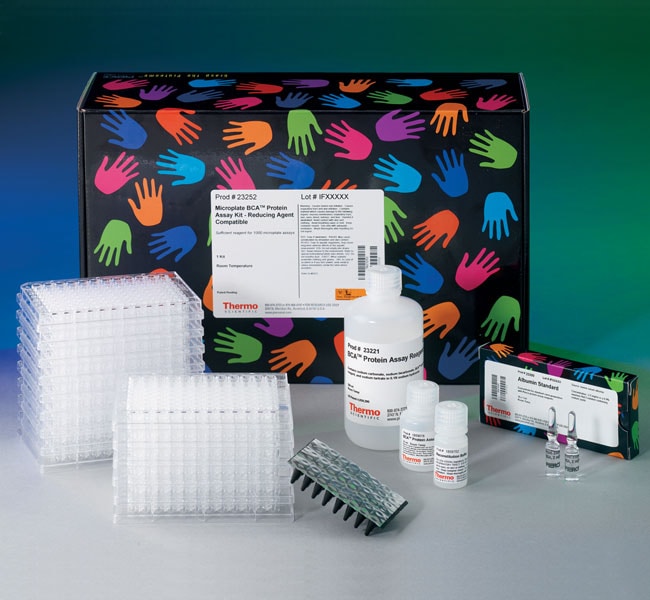 Pierce&trade; 微孔板 BCA 蛋白检测试剂盒 - 还原剂兼容