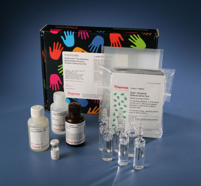 Pierce&trade; Far-Western Blot Kit for Biotinylated Proteins