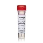 Zenon&trade; pHrodo&trade; iFL IgG Labeling Reagents
