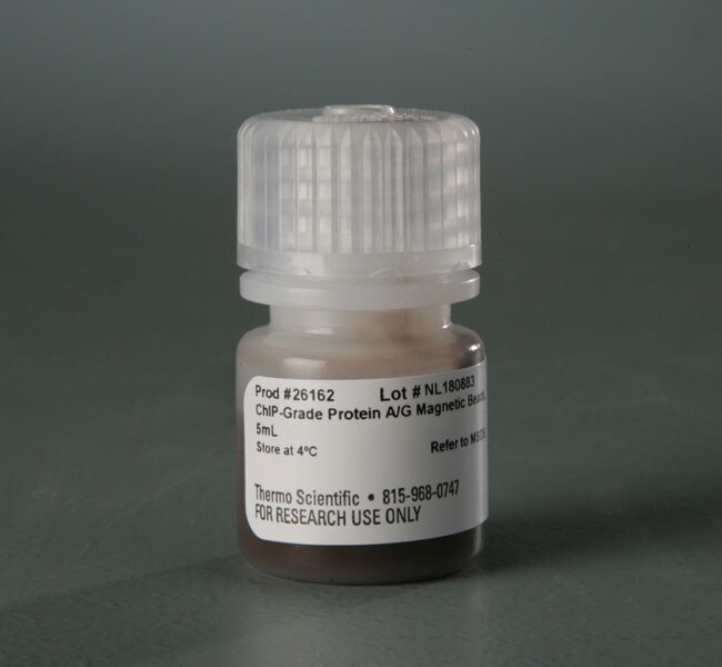 Pierce&trade; ChIP-grade Protein A/G Magnetic Beads