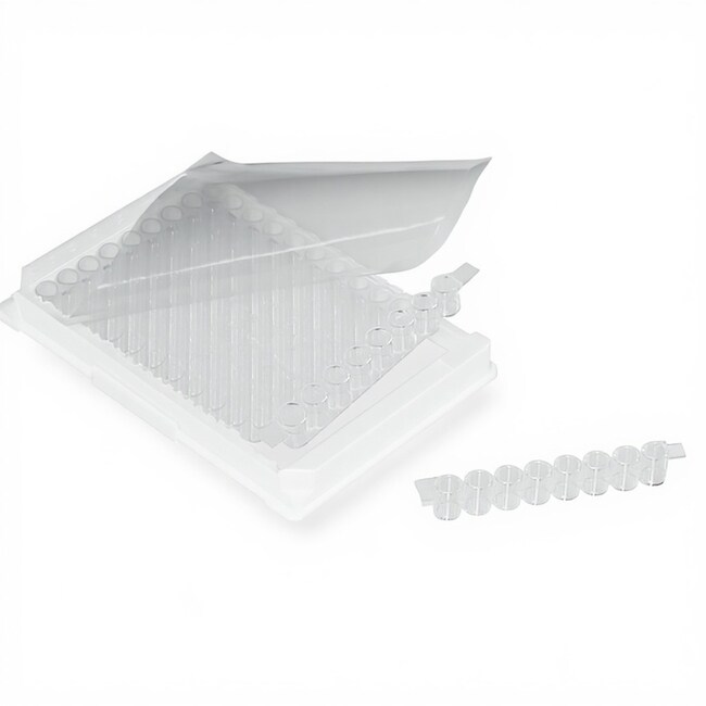 Quant-it™ RiboGreen Reagent and RNA Assay Kit