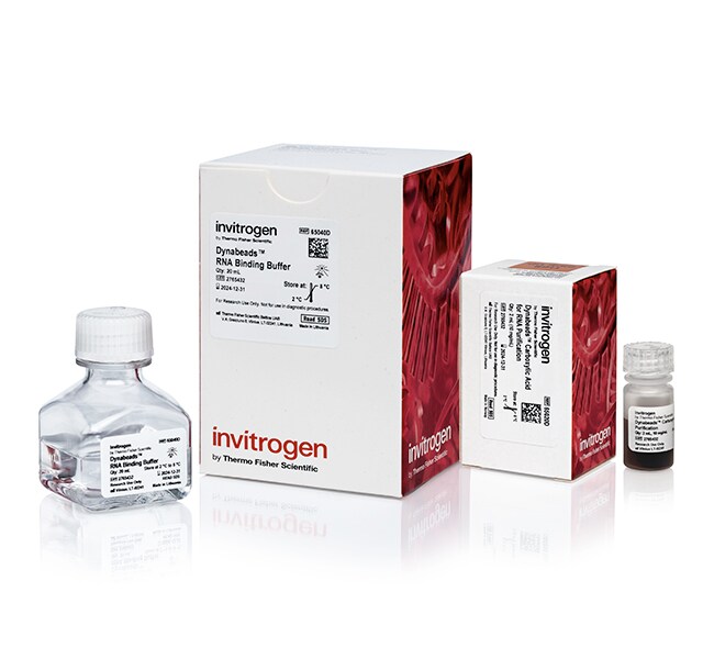 Dynabeads™ RNA Purification Kit