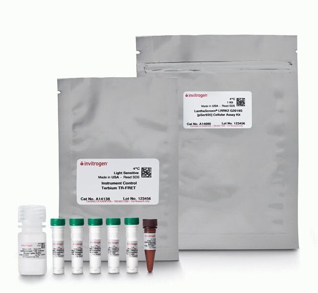 LanthaScreen&trade; LRRK2 G2019S [pSer935] 细胞检测试剂盒