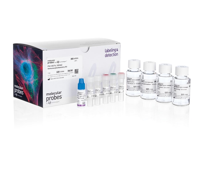多能干细胞免疫细胞化学试剂盒 (OCT4, SSEA4)