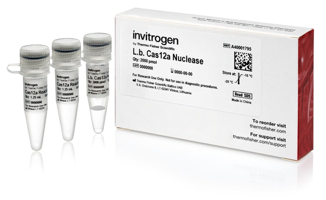 L.b. Cas12a Nuclease