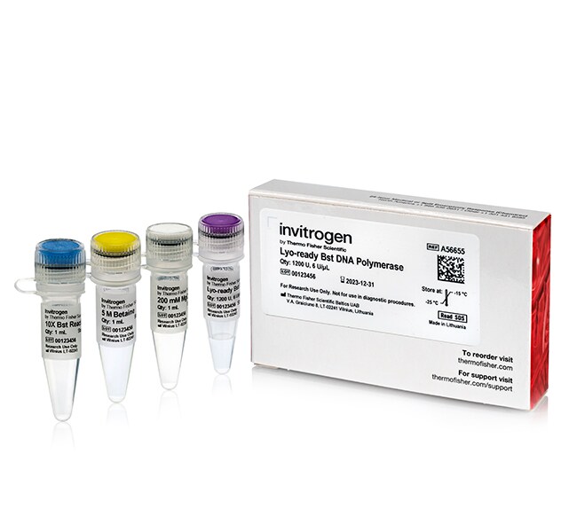 Lyo-ready Bst DNA Polymerase