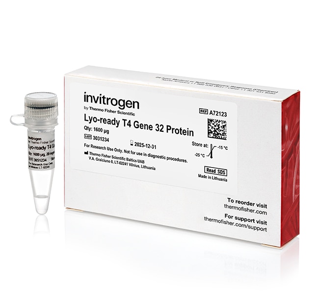 Lyo-ready Enzymes and Reagents for Recombinase Polymerase Amplification (RPA)