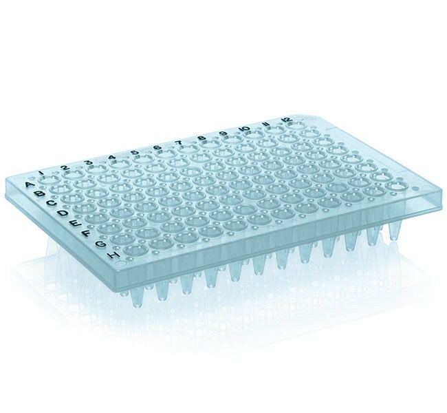 PCR 板（96 孔，半裙边，平面，黑色印字，蓝色）