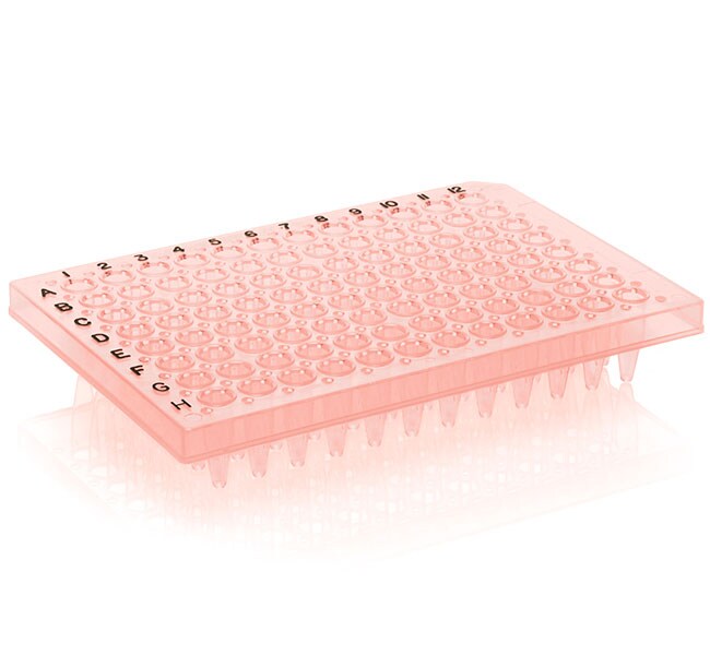 PCR 板（96 孔，半裙边，平面，黑色印字，红色）