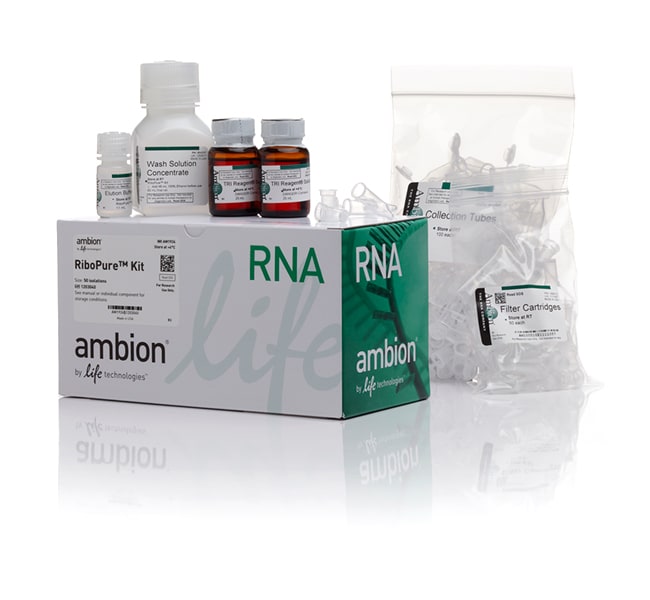 RiboPure&trade; RNA 纯化试剂盒