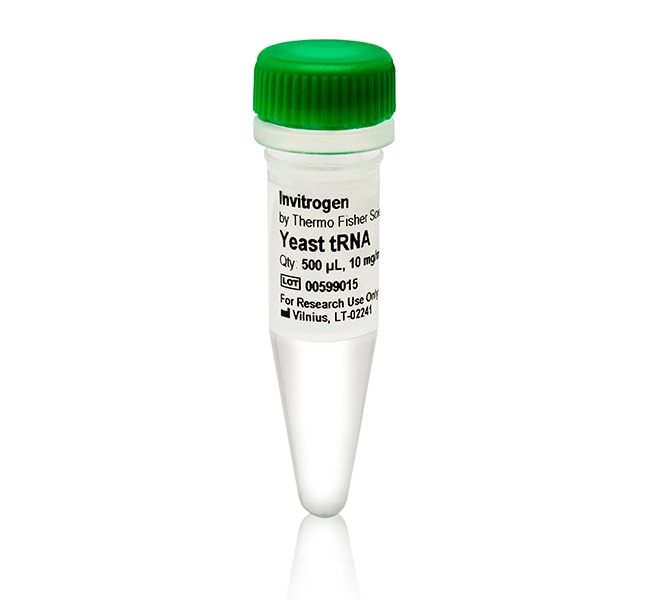 酵母 tRNA (10 mg/mL)