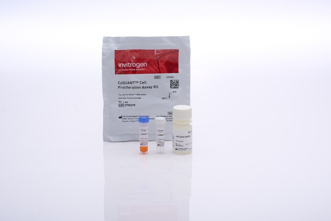 CyQUANT™ Cell Proliferation Assays