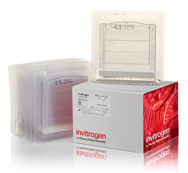 Novex™ TBE Gels, 20%