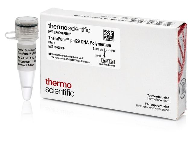 TheraPure&trade; phi29 DNA Polymerase (10 U/&mu;L)