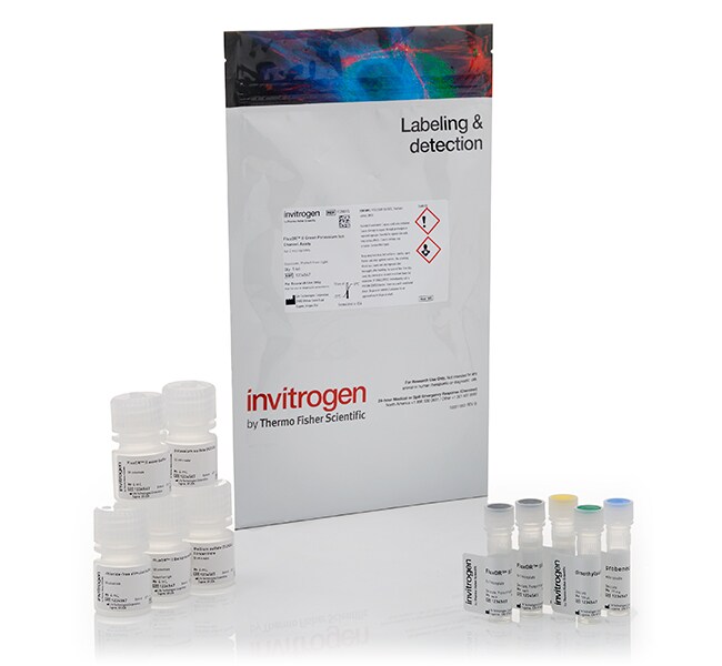 FluxOR™ II 绿色钾离子通道检测试剂盒