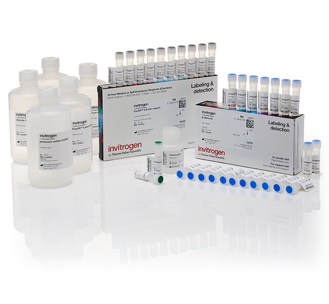 FluxOR™ II 绿色钾离子通道检测试剂盒