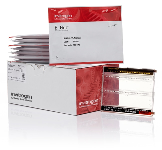 E-Gel&trade; 48 Agarose Gels