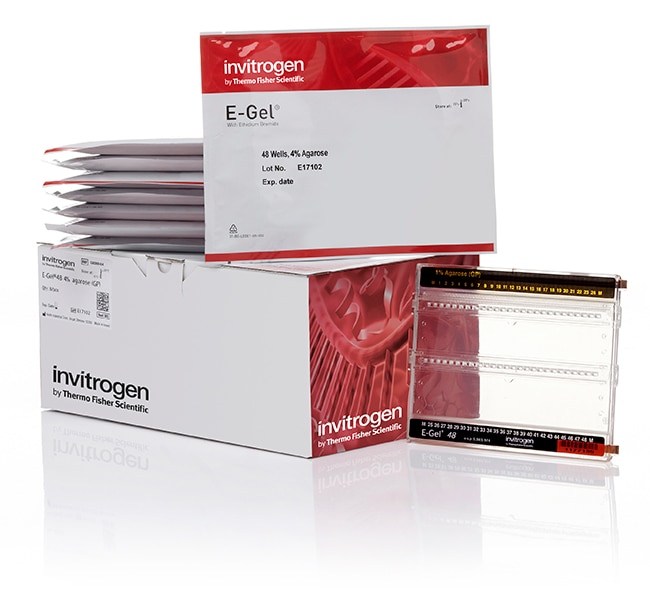 E-Gel&trade; 48 Agarose Gels