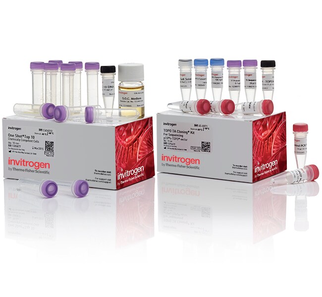 TOPO&trade; TA Cloning&trade; Kit for Sequencing, with One Shot&trade; TOP10 Chemically Competent <i>E. coli</i>