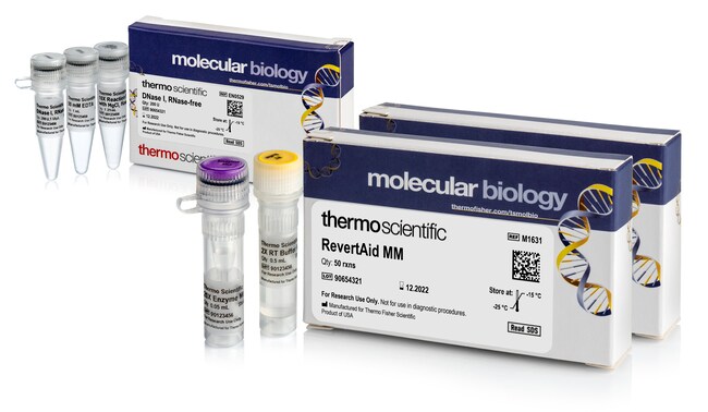 RevertAid&trade; Master Mix, with DNase I