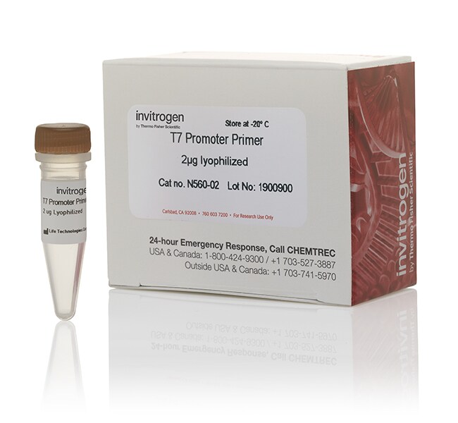 T7 启动子引物