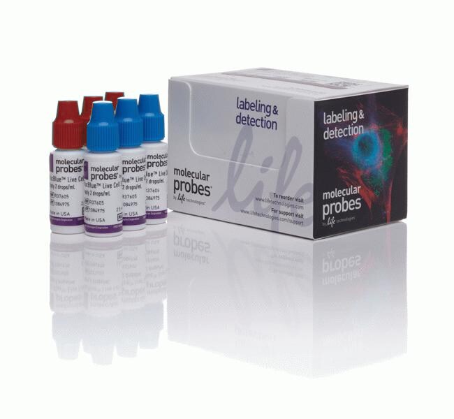 ReadyProbes&trade; Cell Viability Imaging Kit, Blue/Red