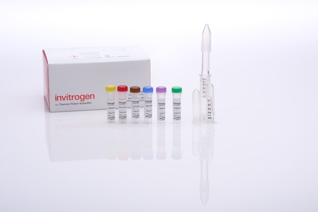 SiteClick™ Antibody Azido Modification Kit