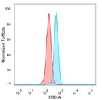 MEF2B (Transcriptional Activator) Antibody in Flow Cytometry (Flow)