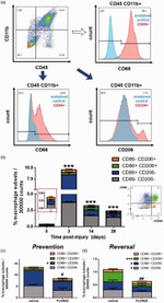 CD86 (B7-2) Antibody in Flow Cytometry (Flow)