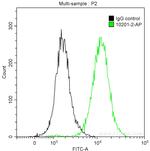 Ubiquitin Antibody in Flow Cytometry (Flow)