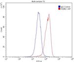 uPAR Antibody in Flow Cytometry (Flow)