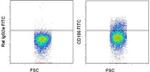 CD106 (VCAM-1) Antibody in Flow Cytometry (Flow)