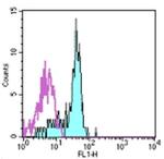 CD116 Antibody in Flow Cytometry (Flow)