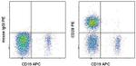 CD28 Antibody in Flow Cytometry (Flow)