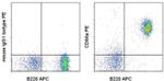 CD66a (CEACAM1) Antibody in Flow Cytometry (Flow)